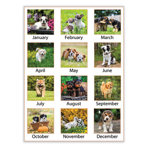 Puppies Monthly Desk Pad Calendar, Puppies Photography, 22 X 17, White Sheets, Clear Corners, 12-month (jan To Dec): 2024