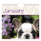 Puppies Monthly Wall Calendar, Puppies Photography, 15.5 X 22.75, White/multicolor Sheets, 12-month (jan To Dec): 2024