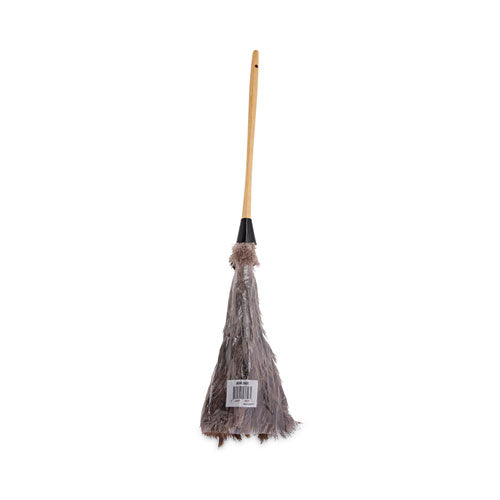 Professional Ostrich Feather Duster, 16" Handle