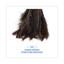 Professional Ostrich Feather Duster, 16" Handle