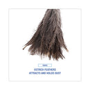 Professional Ostrich Feather Duster, 16" Handle