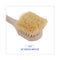 Utility Brush, Cream Tampico Bristles, 5.5" Brush, 3" Tan Plastic Handle