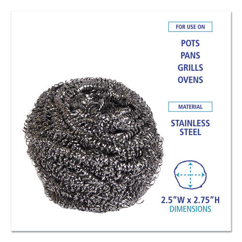 Stainless Steel Scrubber, Large Size, 2.5 X 2.75, Steel Gray, 12/carton