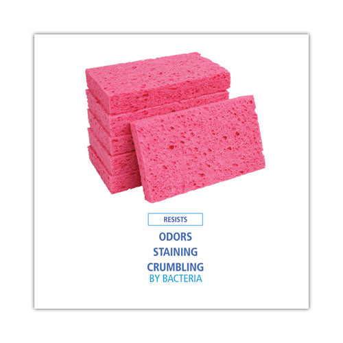 Small Cellulose Sponge, 3.6 X 6.5, 0.9" Thick, Pink, 2/pack, 24 Packs/carton