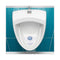 Urinal Screen With Non-para Cleaner Block, Green Apple Scent, 3.25 Oz, Blue/white, 12/box