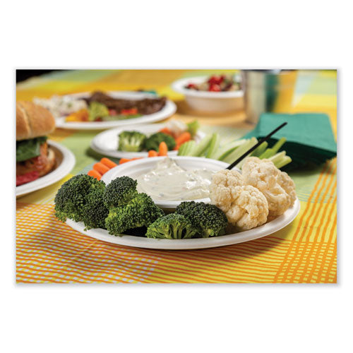 Bagasse Pfas-free Dinnerware, Plate, 10" Dia, White, 500/carton