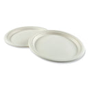 Bagasse Pfas-free Dinnerware, Plate, 10" Dia, White, 500/carton