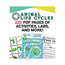 In A Flash Usb, Animal Lifestyles, Ages 5-8, 225 Pages