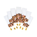 Colors Of The World Colored Pencils Classpack Set, Assorted Lead/barrel Colors, 240/pack