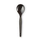 Plastic Cutlery, Heavyweight Soup Spoons, 5 3/4", Black, 1,000/carton