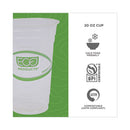 Greenstripe Renewable And Compostable Cold Cups, 20 Oz, Clear, 50/pack, 20 Packs/carton