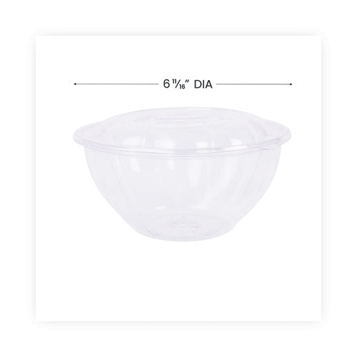 Renewable And Compostable Salad Bowls With Lids, 32 Oz, Clear, Plastic, 50/pack, 3 Packs/carton