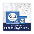 Fresh Care Flushable Cleansing Cloths, 1-ply, 5 X 7.25, White, 168/pack