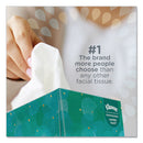 Boutique White Facial Tissue For Business, Pop-up Box, 2-ply, 95 Sheets/box, 6 Boxes/pack