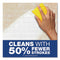 Disinfecting Cleaner With Bleach, 1 Gal Bottle
