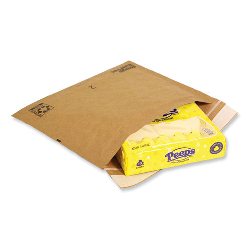 Evertec Curbside Recyclable Padded Mailer,