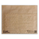 Evertec Curbside Recyclable Padded Mailer,