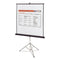 Portable Tripod Projection Screen, 60 X 60, White Matte Finish