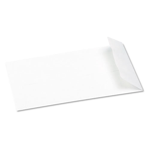 Redi-seal Catalog Envelope,