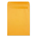 Redi-seal Catalog Envelope,