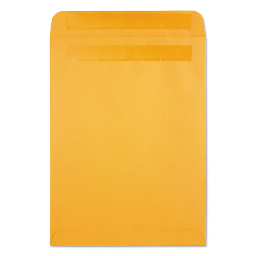 Redi-seal Catalog Envelope,