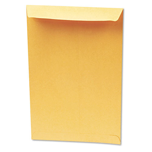 Redi-seal Catalog Envelope,