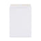 Peel Seal Strip Catalog Envelope,