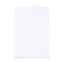 Peel Seal Strip Catalog Envelope,