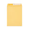 Peel Seal Strip Catalog Envelope,