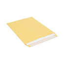 Peel Seal Strip Catalog Envelope,