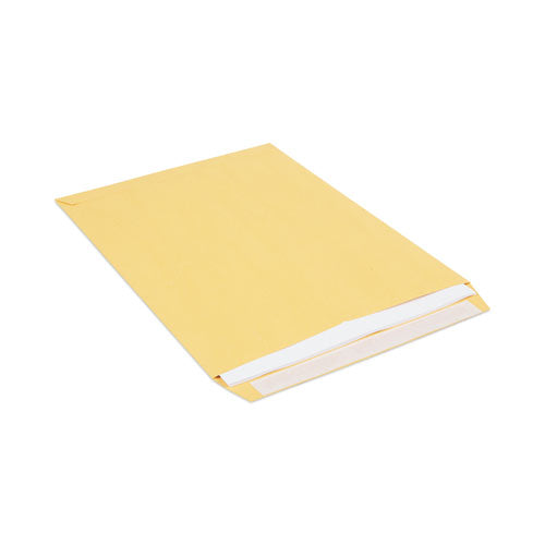 Peel Seal Strip Catalog Envelope,