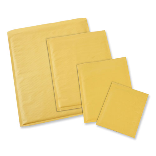 Peel Seal Strip Cushioned Mailer,