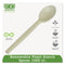 Ecosense Renewable Plant Starch Cutlery, Spoon, 7", 50/pack, 20 Pack/carton