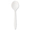 Mediumweight Polystyrene Cutlery, Soup Spoon, White, 1,000/carton