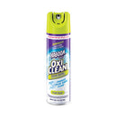 Foamtastic Bathroom Cleaner, Fresh Scent, 19 Oz Spray Can