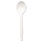 Plastic Cutlery, Mediumweight Soup Spoons, White, 1,000/carton