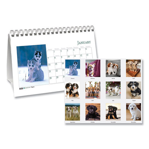 Earthscapes Recycled Desk Tent Monthly Calendar, Puppies Photography, 8.5 X 4.5, White Sheets, 12-month (jan To Dec): 2024