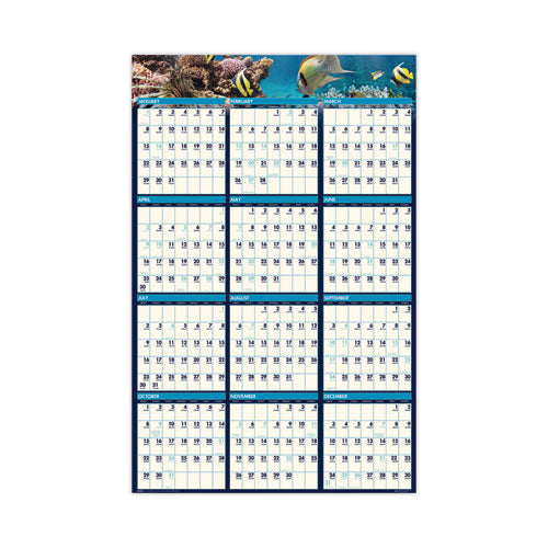 Earthscapes Recycled Reversible/erasable Yearly Wall Calendar, Sea Life Photos, 24 X 37, White Sheets, 12-month(jan-dec):2024