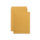 Redi-seal Catalog Envelope,