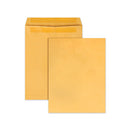 Redi-seal Catalog Envelope,