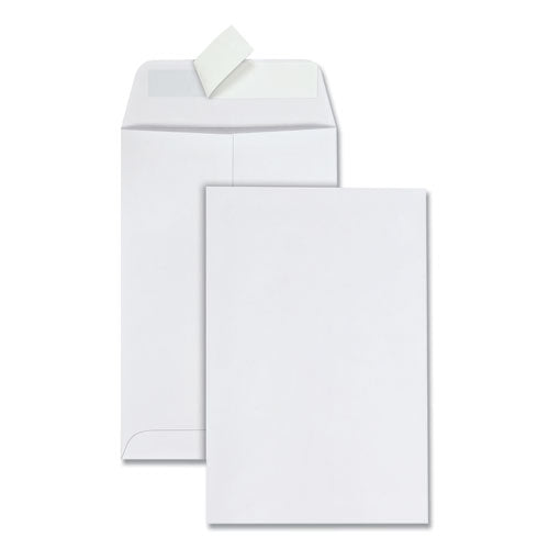 Redi-strip Catalog Envelope,