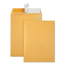 Redi-strip Catalog Envelope,