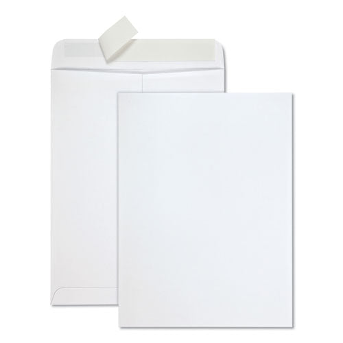 Redi-strip Catalog Envelope,