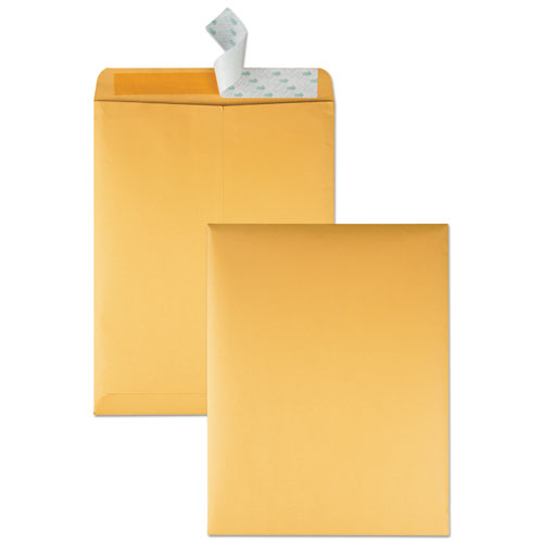 Redi-strip Catalog Envelope,