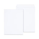 Peel Seal Strip Catalog Envelope,