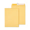 Peel Seal Strip Catalog Envelope,