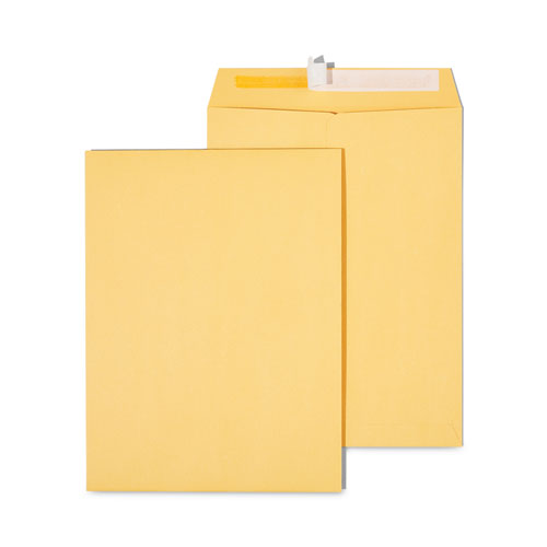 Peel Seal Strip Catalog Envelope,