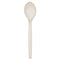 Ecosense Renewable Plant Starch Cutlery, Spoon, 7", 50/pack, 20 Pack/carton